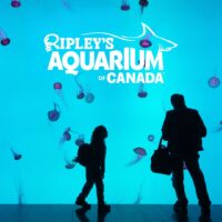 Ripleys Aquarium Summer 1080 x 1080