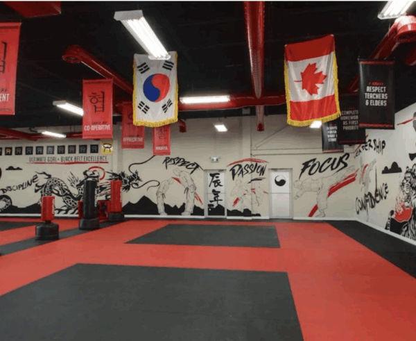 OMAC Martial Arts Fall
