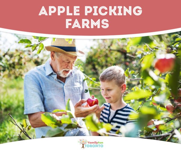 Apple Picking farms Ontario