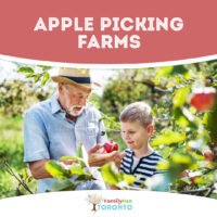 Toronto Apple Picking farms Square