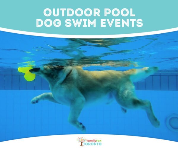 Toronto Dog Swim 1200x1000 (4)