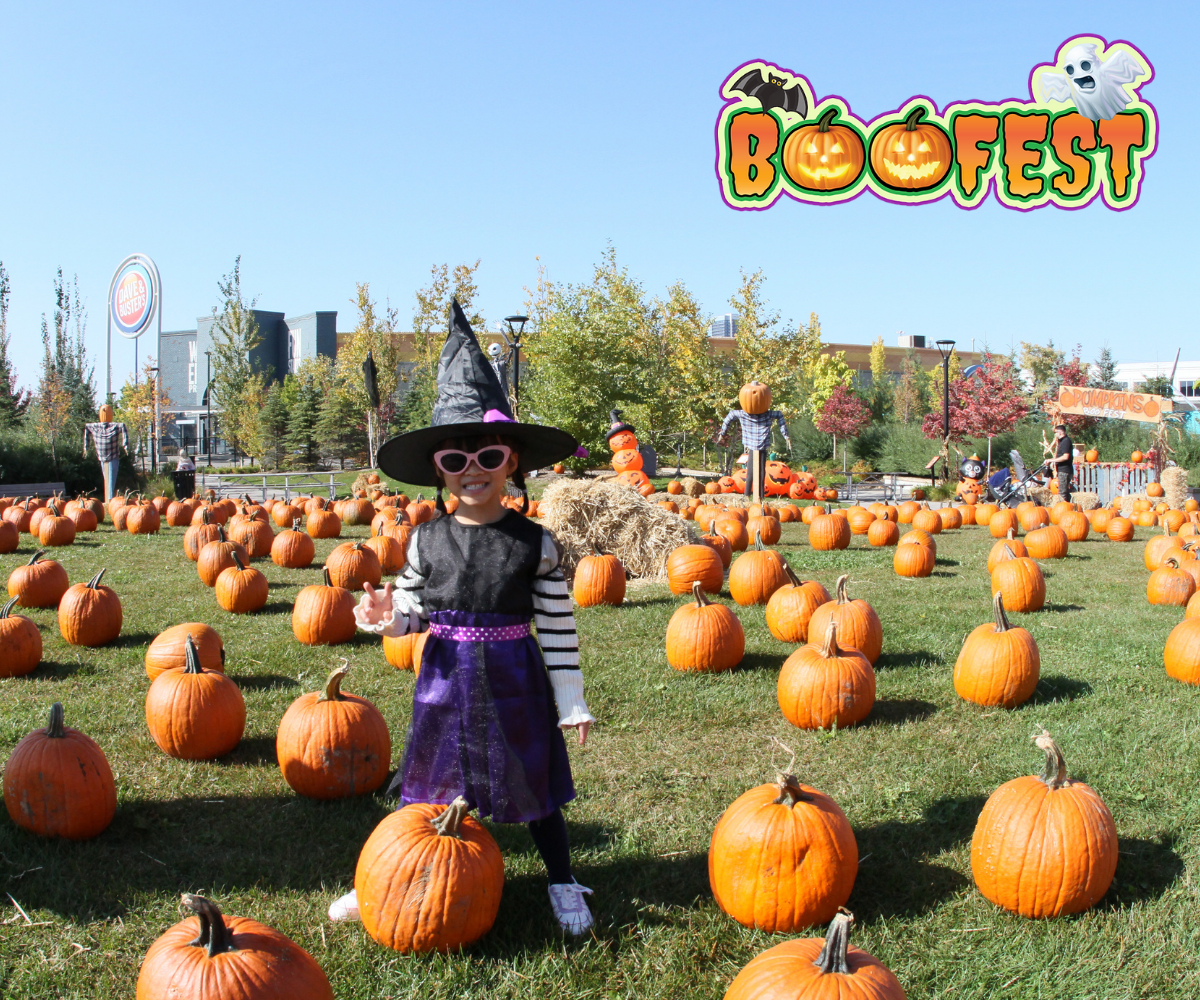 Boofest 2025 2