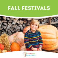 Fall Festivals Square