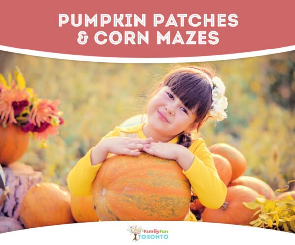 Toronto Pumpkin Patches Corn Mazes 1200x1000