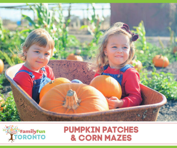 Pumpkin Patches Corn Mazes