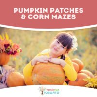 Toronto Pumpkin Patches Corn Mazes Square new