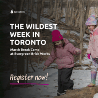 Evergreen March Break Camp Square