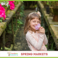 Spring Markets IG