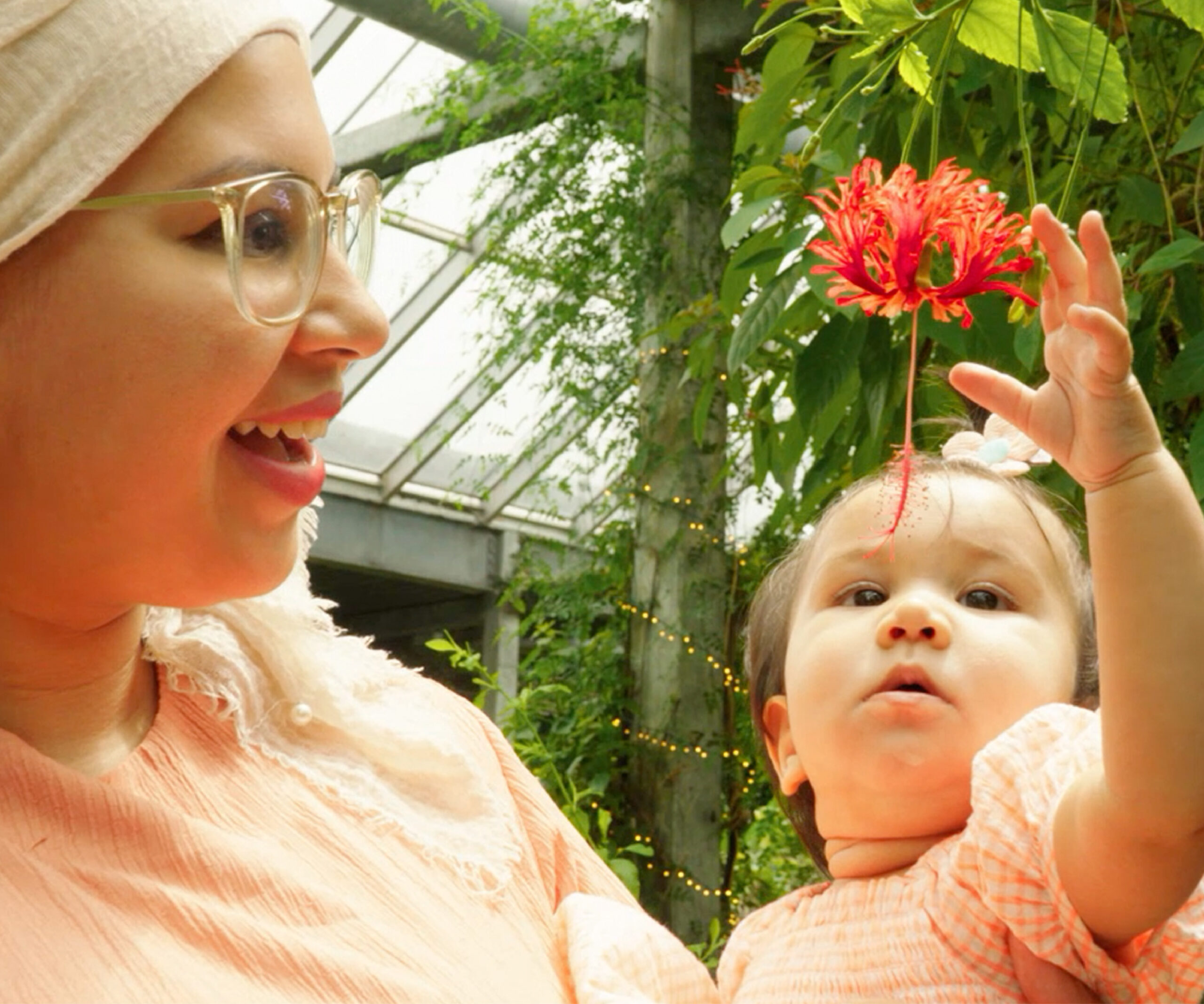 Cambridge Butterfly Gift 4