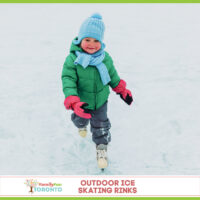 Outdoor Skating Rinks