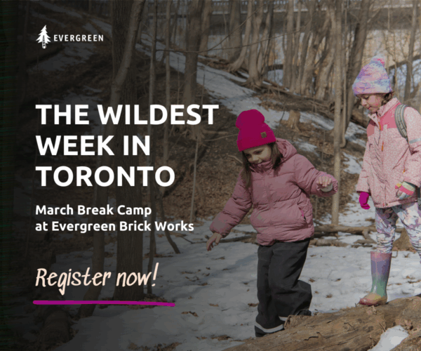 Evergreen March Break Camp