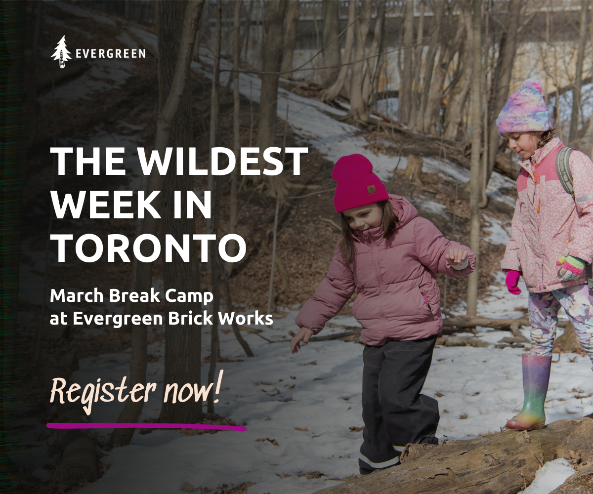 Evergreen March Break Camp