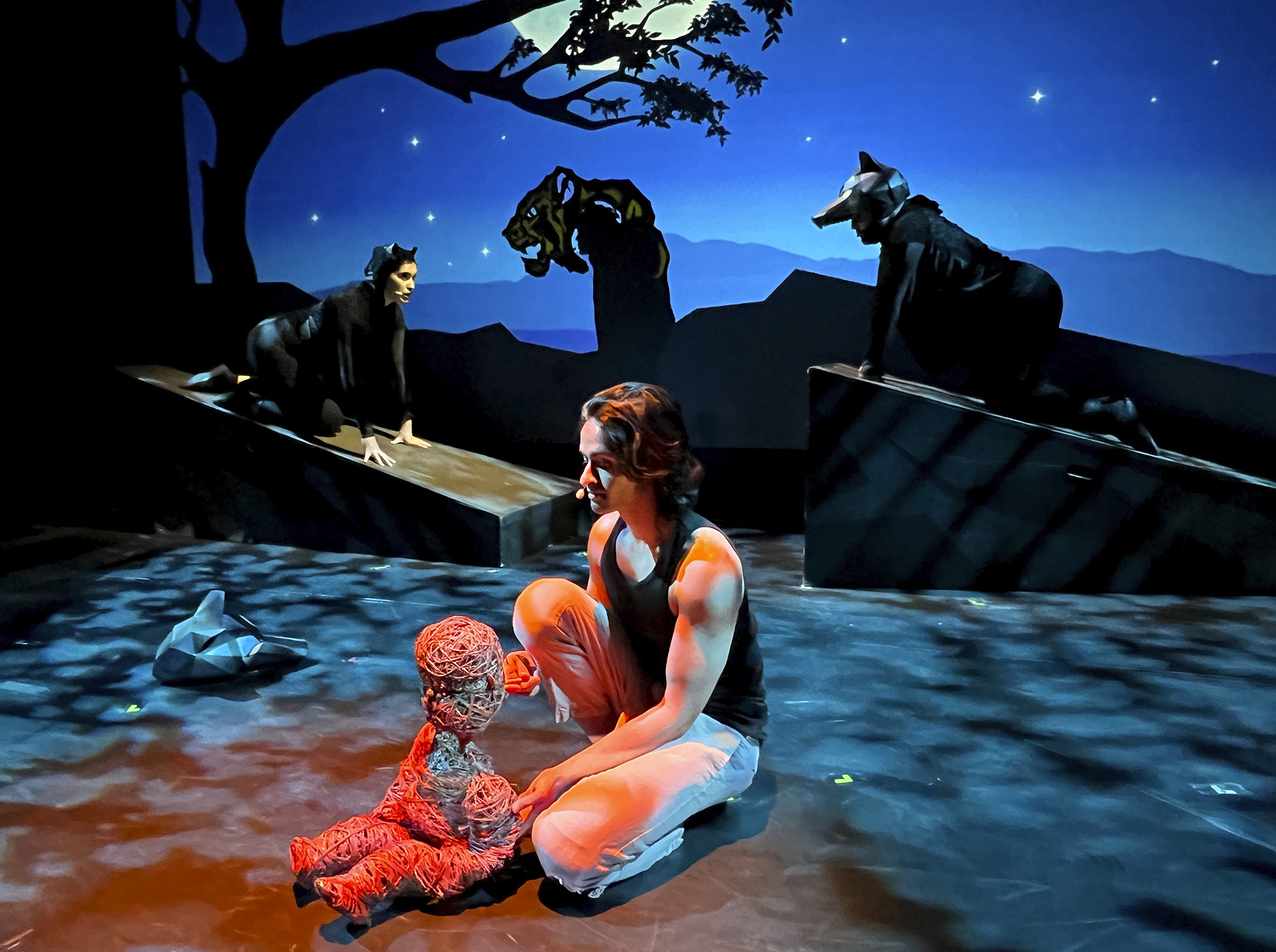 Mississauga Family Day Jungle Book