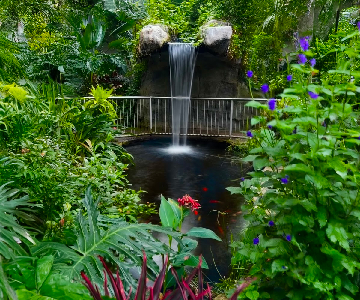 Cambridge Butterfly March Break 2026 Tropical Conservatory