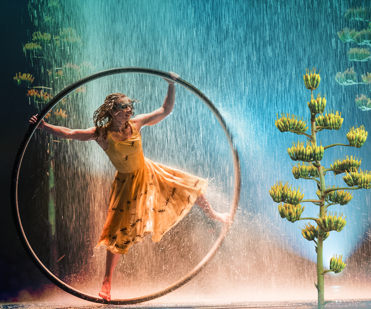 Cirque du Soleil LUZIA 1200x1000-photo