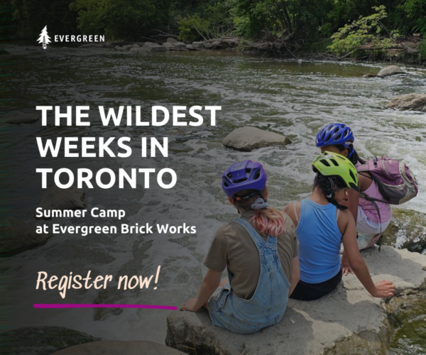 Evergreen Summer Camp