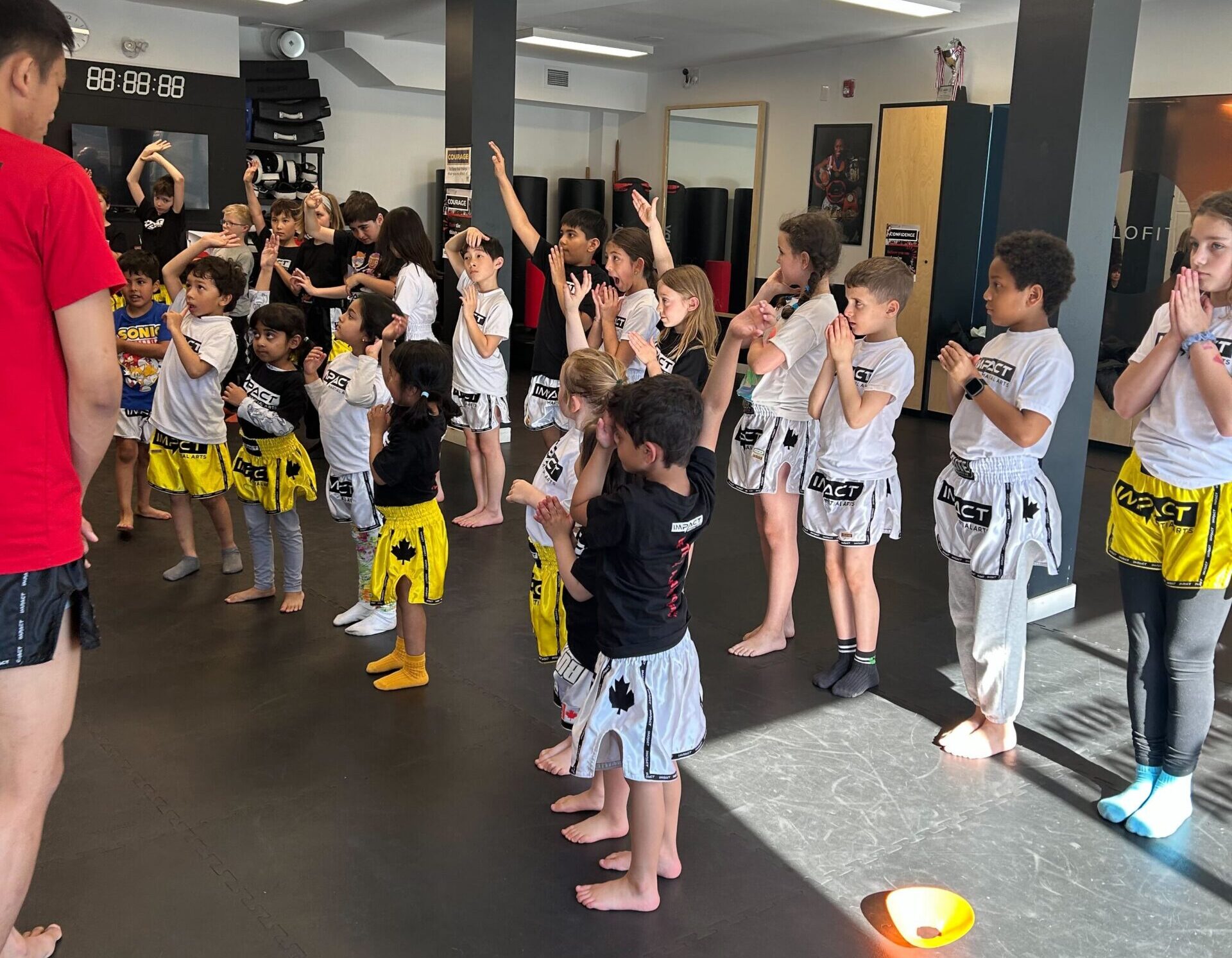 Impact Martial Arts Summer 2026 Class