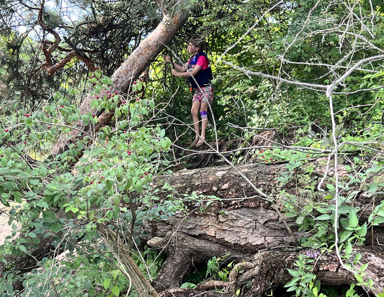 Toronto Island SUP Summer Camp Climb