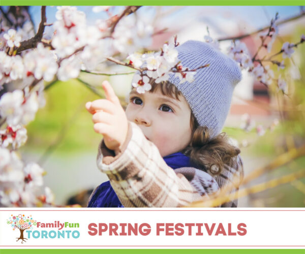 Spring Festivals
