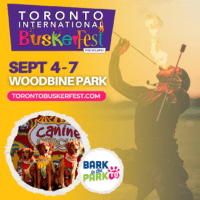 BuskerFest 2026 1080x1080