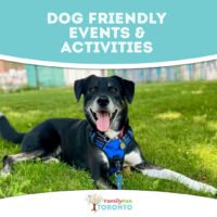 Toronto Dog Friendly 1080x1080 (1)