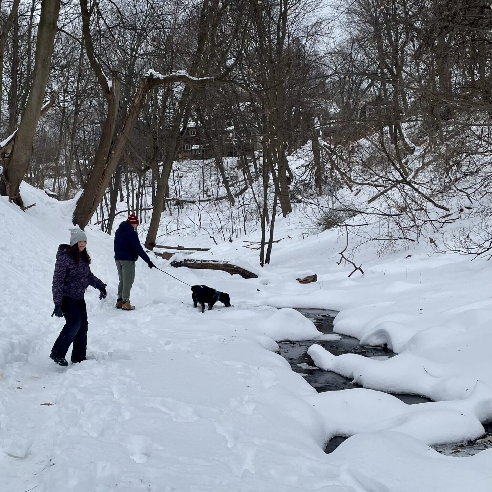 Dog-Friendly Events Activities Ravine Park