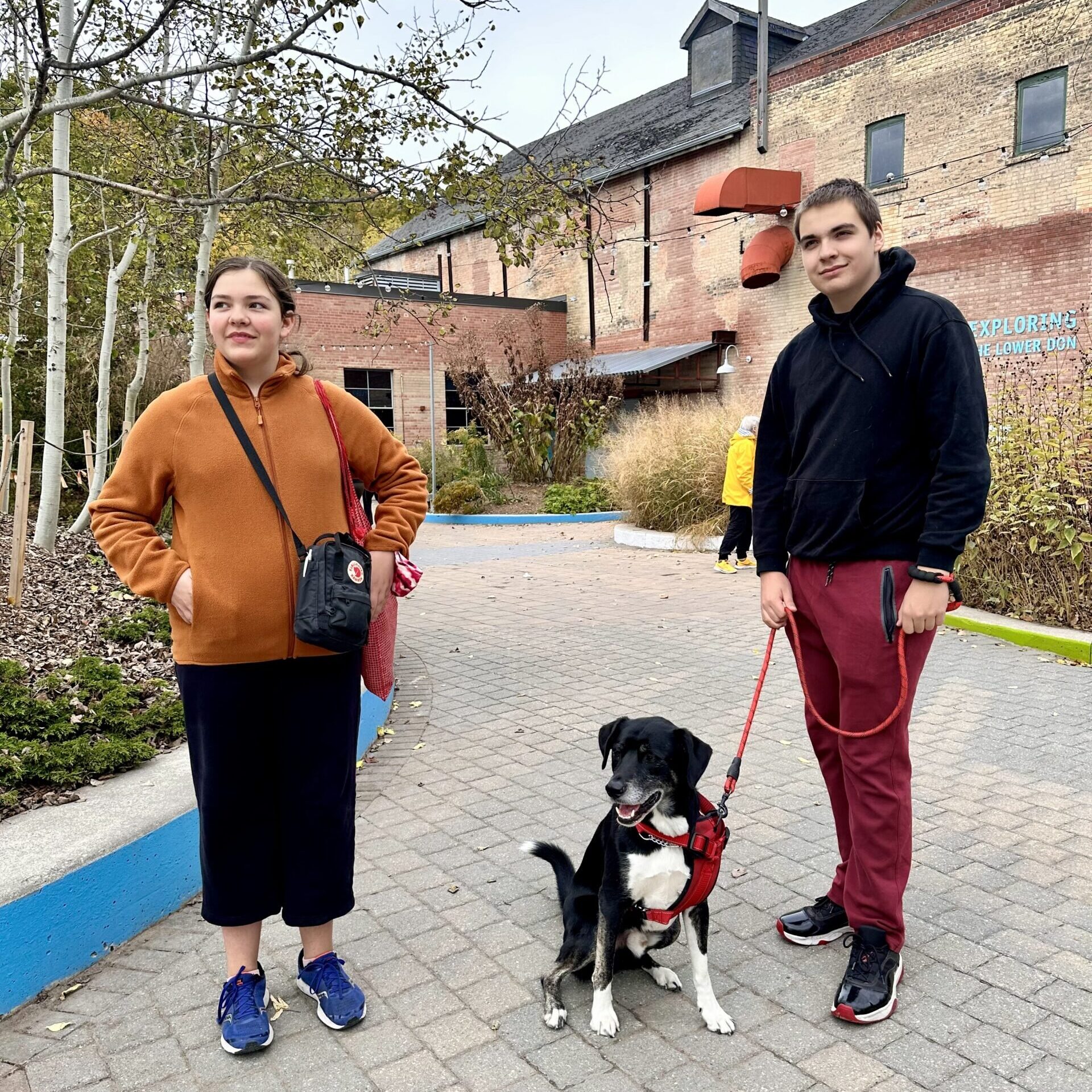 Dog Friendly Events Activities Evergreen