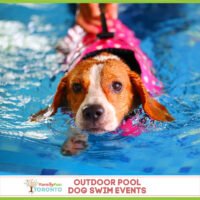 Toronto Pool Dog Swim Events IG (1)