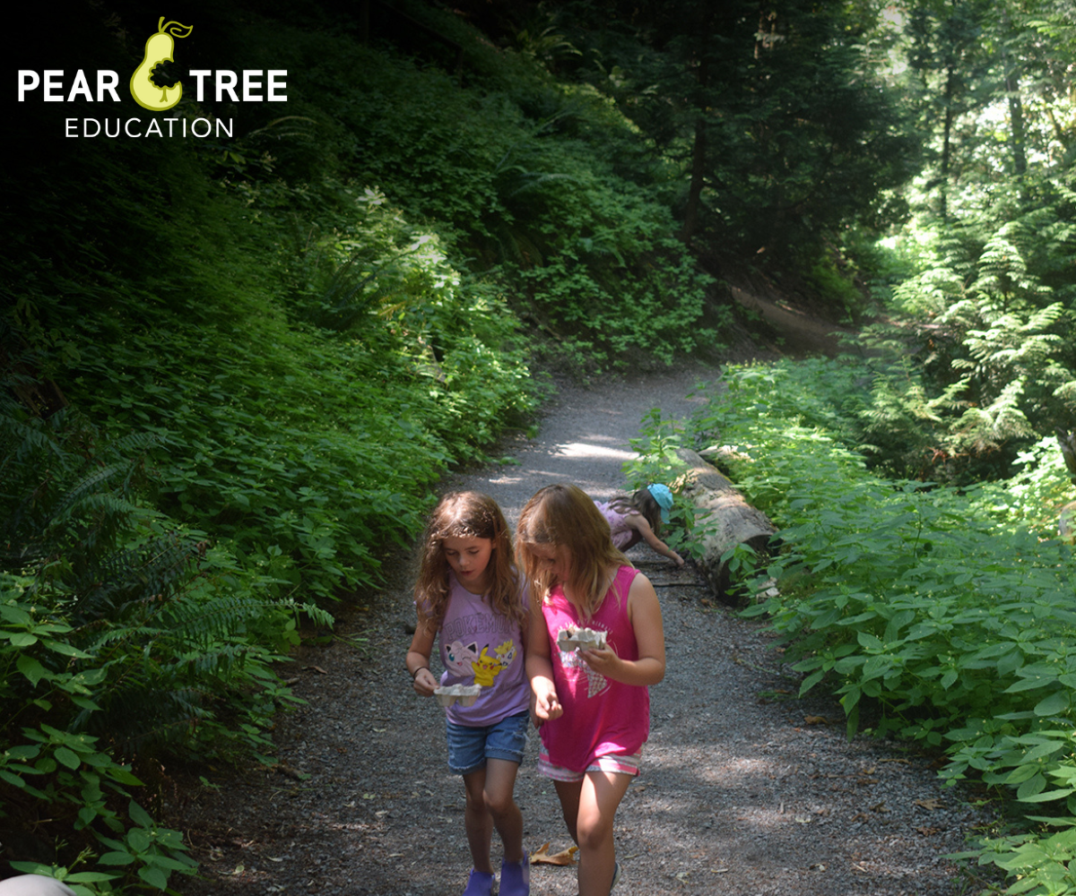 PearTree Summer Camps 1200x1000