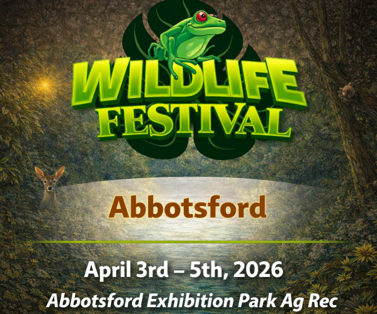 Wildlife Festival Abbotsford, 1200x1000