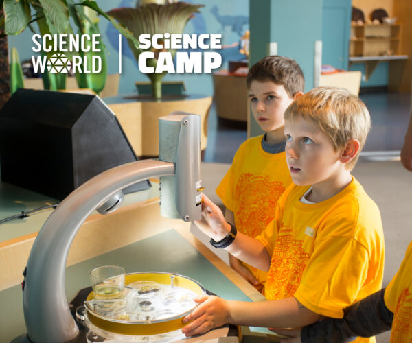 Science World Summer Camps 1200x1000