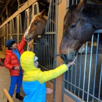 North Shore Equestrian Centre Summer Camps