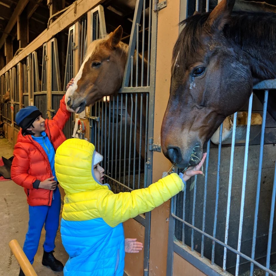North Shore Equestrian Centre Summer Camps