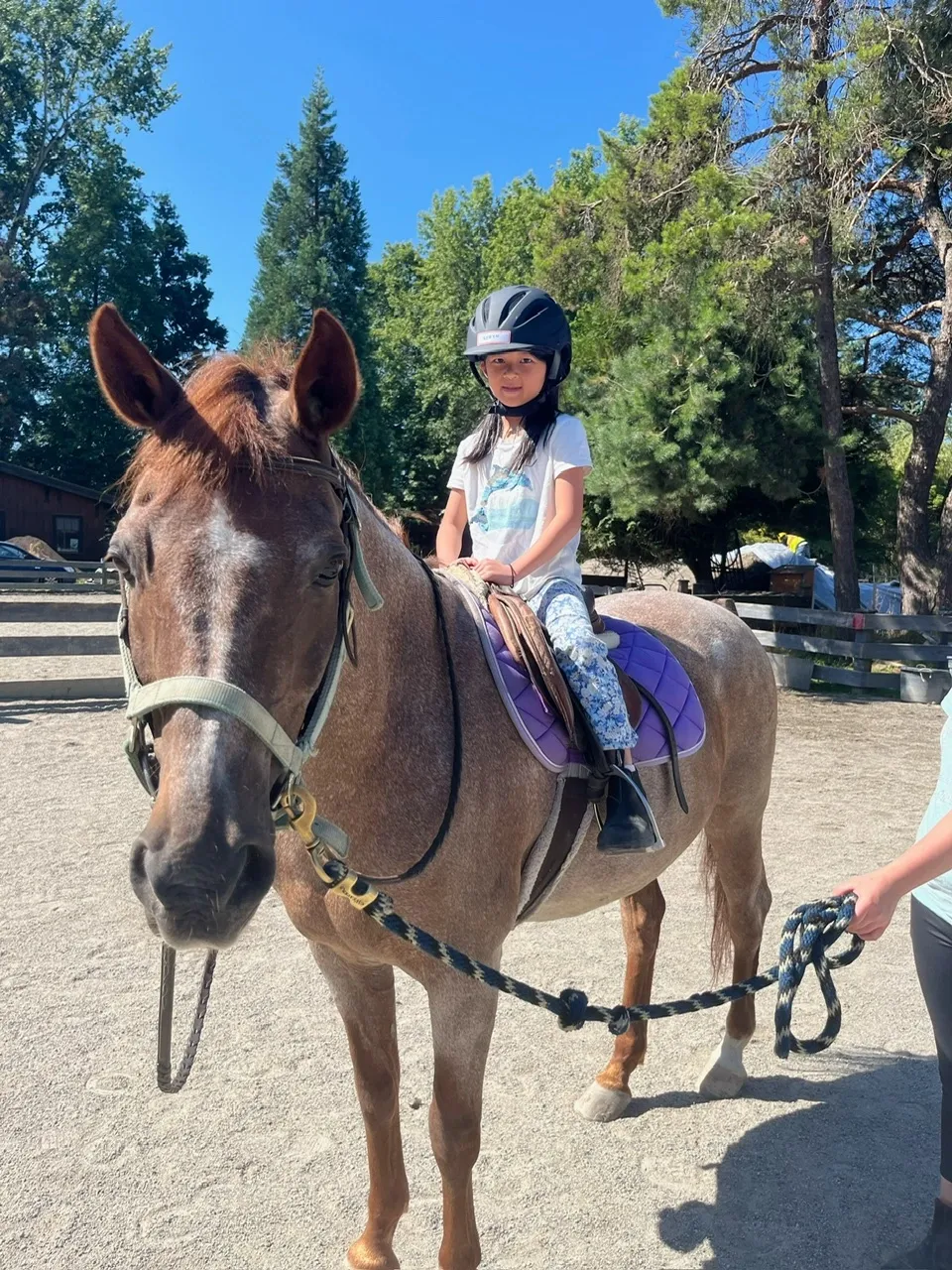 Rosewood Hunters & Jumpers Summer Camps