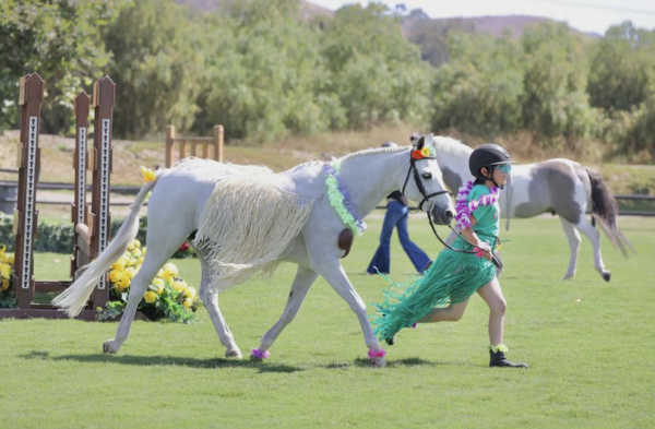 Rosewood Hunters & Jumpers Summer Camps