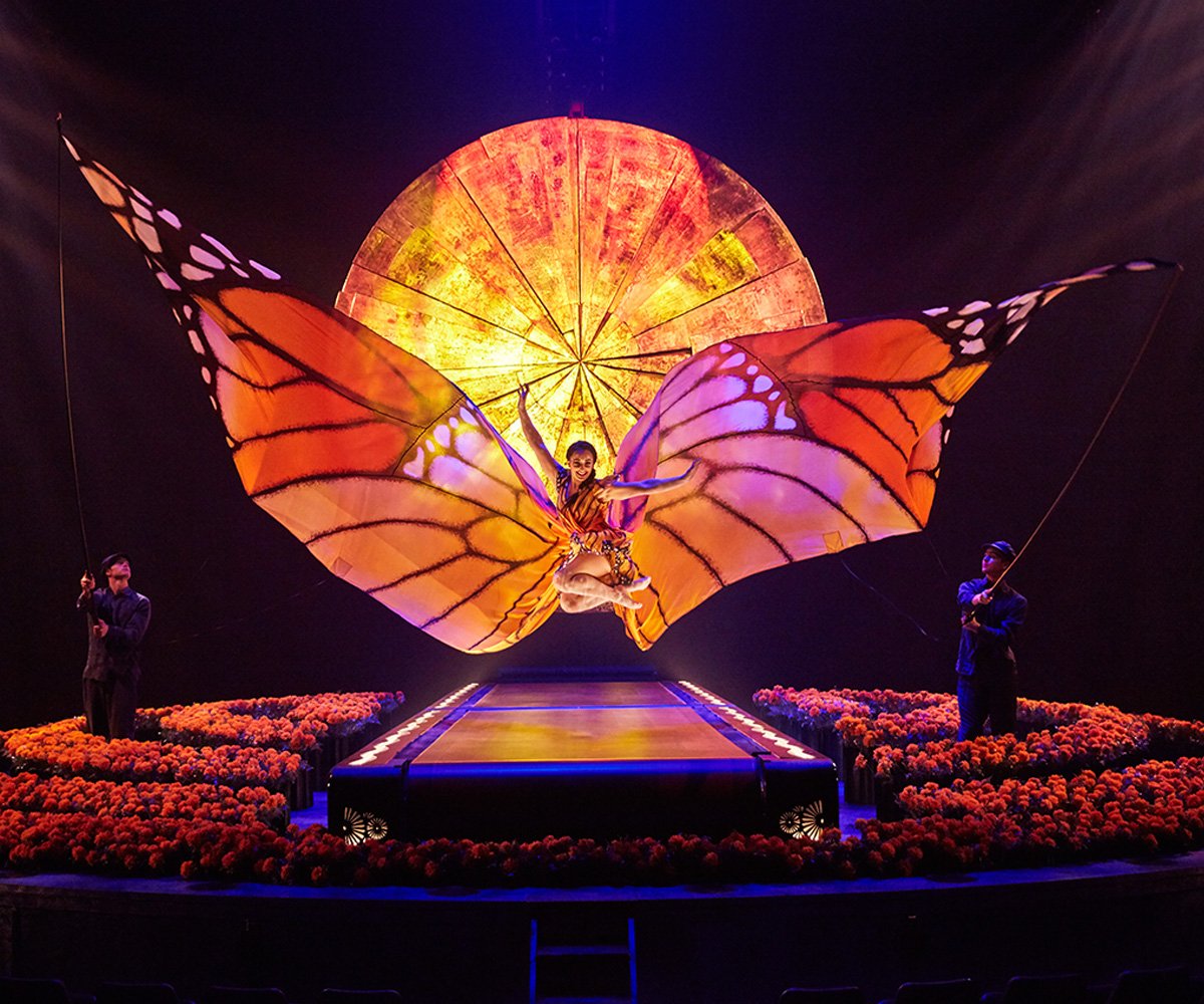 Cirque du Soleil LUZIA butterfly wings