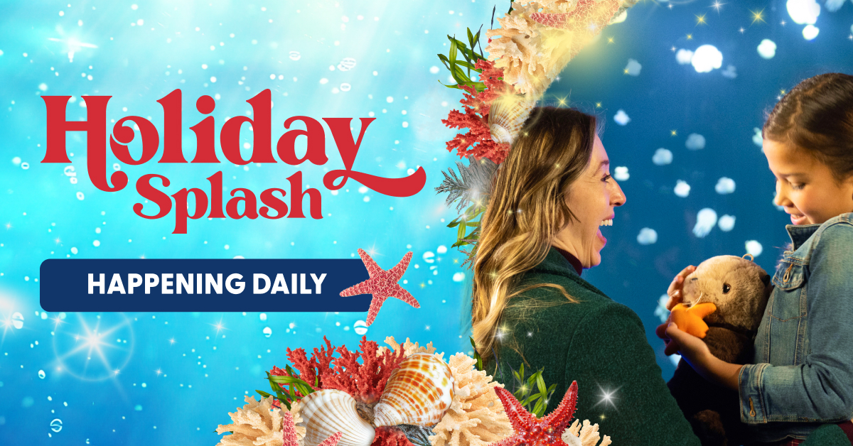 2025 Holiday Splash Vancouver Aquarium