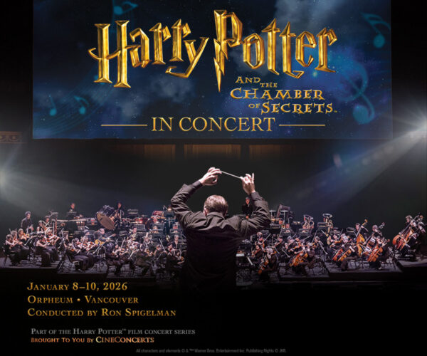 VSO Harry Potter in Concert Gift Guide 1200x1000