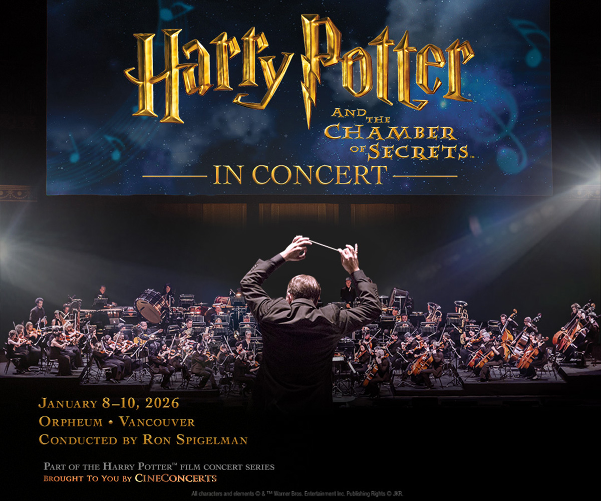 VSO Harry Potter in Concert Gift Guide 1200x1000