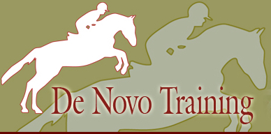 De Novo-Training