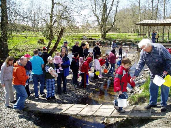 chinook salmon release