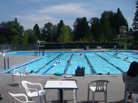 Piscina de punto rocoso