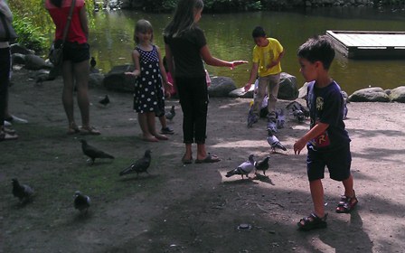 billy chasing pigeons on Granville Island