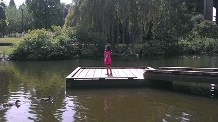 contempler les canards sur Granville Island