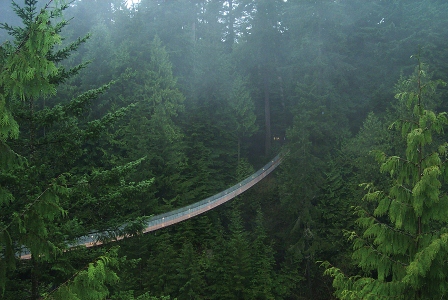 Puente colgante de Capilano