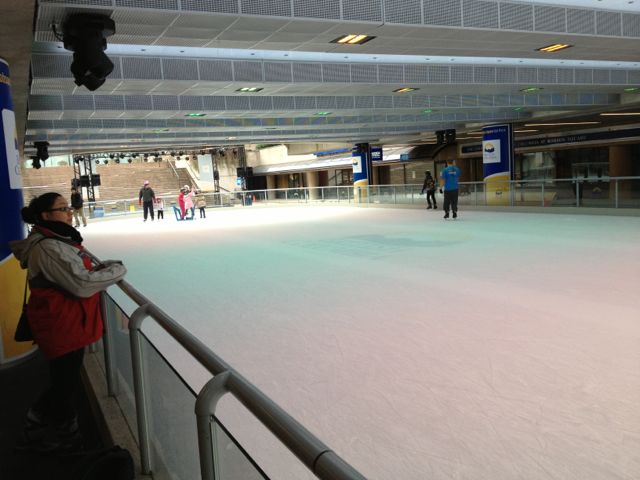 Estadio de patinaje sobre hielo Robson #2