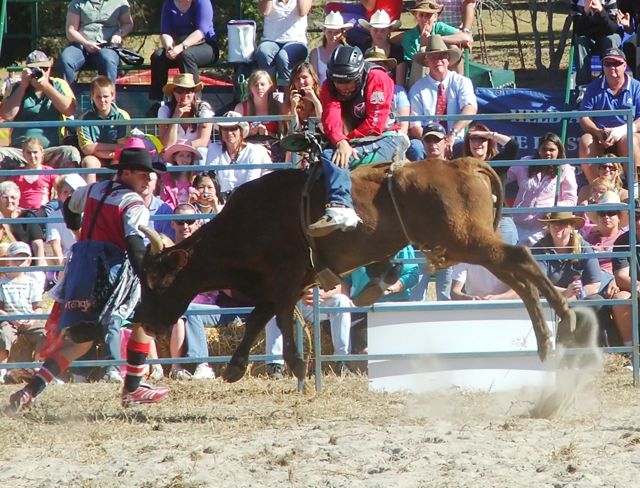 Cloverdale Rodeo via Family Fun Canada