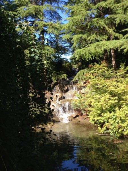 Waterfall at VanDusen