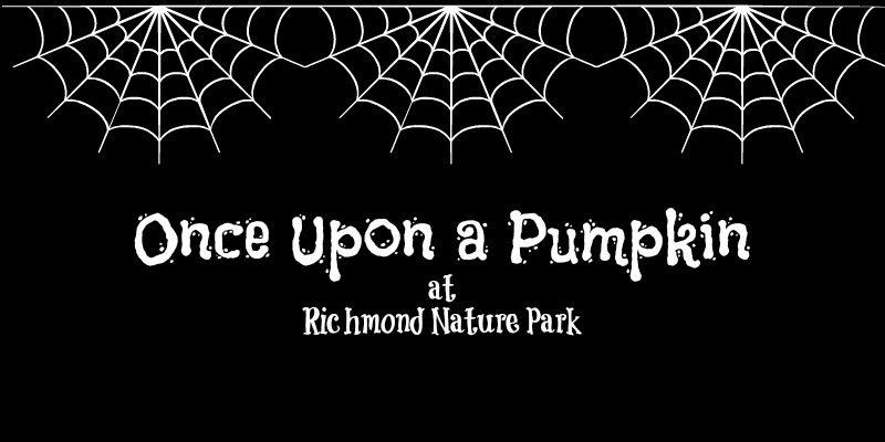 Once Upon a Pumpkin