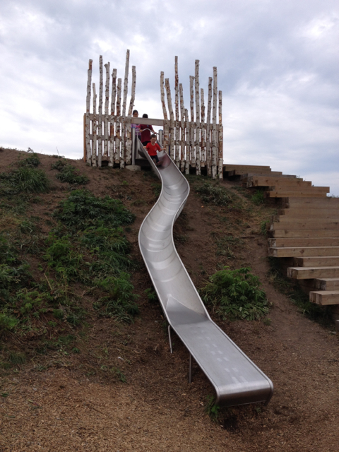 Terra Nova smaller slide